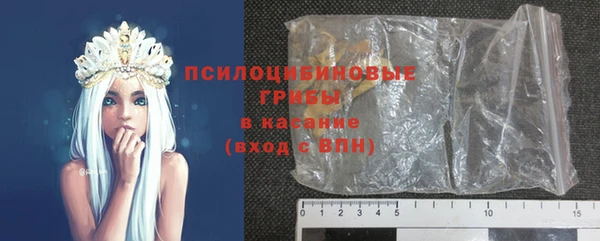 дживик Бронницы