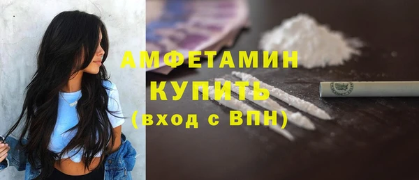 дживик Бронницы