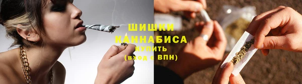 дживик Бронницы