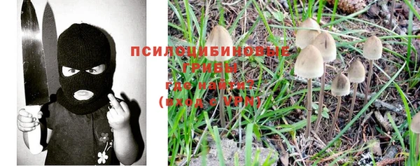 гидропоника Бугульма