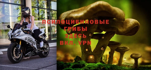 дживик Бронницы