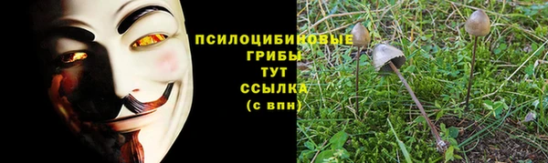 гидропоника Бугульма