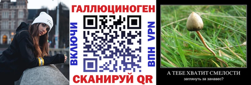 Псилоцибиновые грибы Cubensis  купить  цена  Касимов 